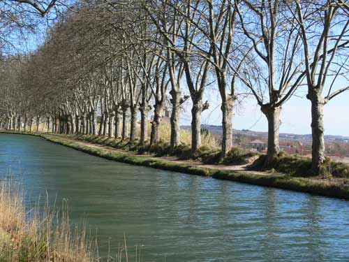 canal du midi, near capestang, herault, languedoc